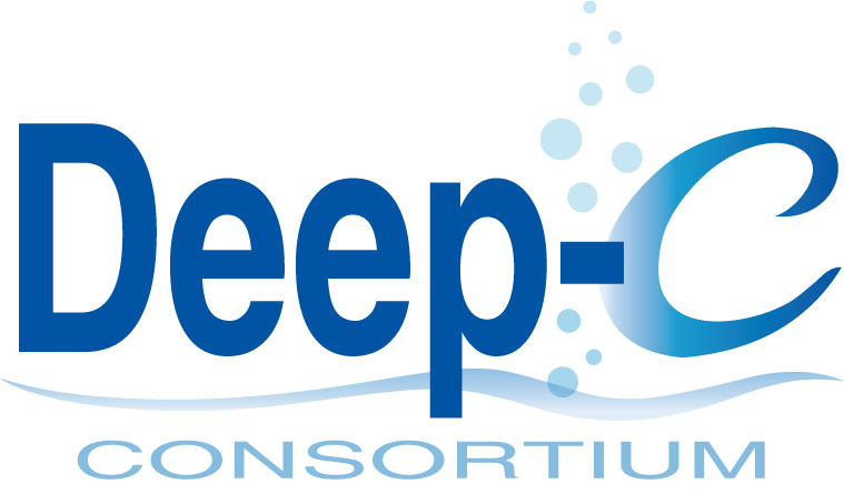deep-c logo web