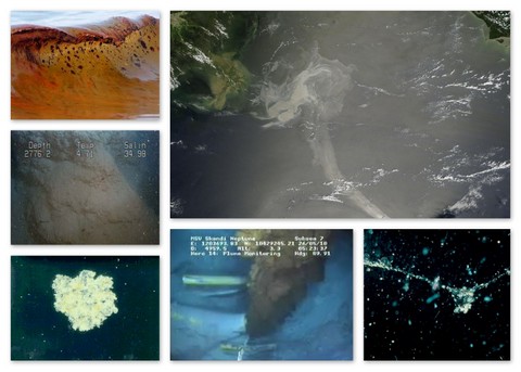 mossfa-collage