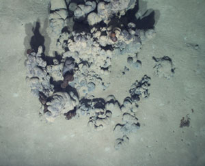 2012-asphalt bottom