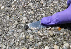 Oil sample collected April 19, 2012