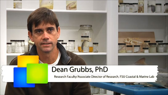 Dean Grubbs - Biologist